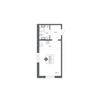 1-комнатная, 30.7 м², жилая: 16.7 м², кухня: 5.5 м²